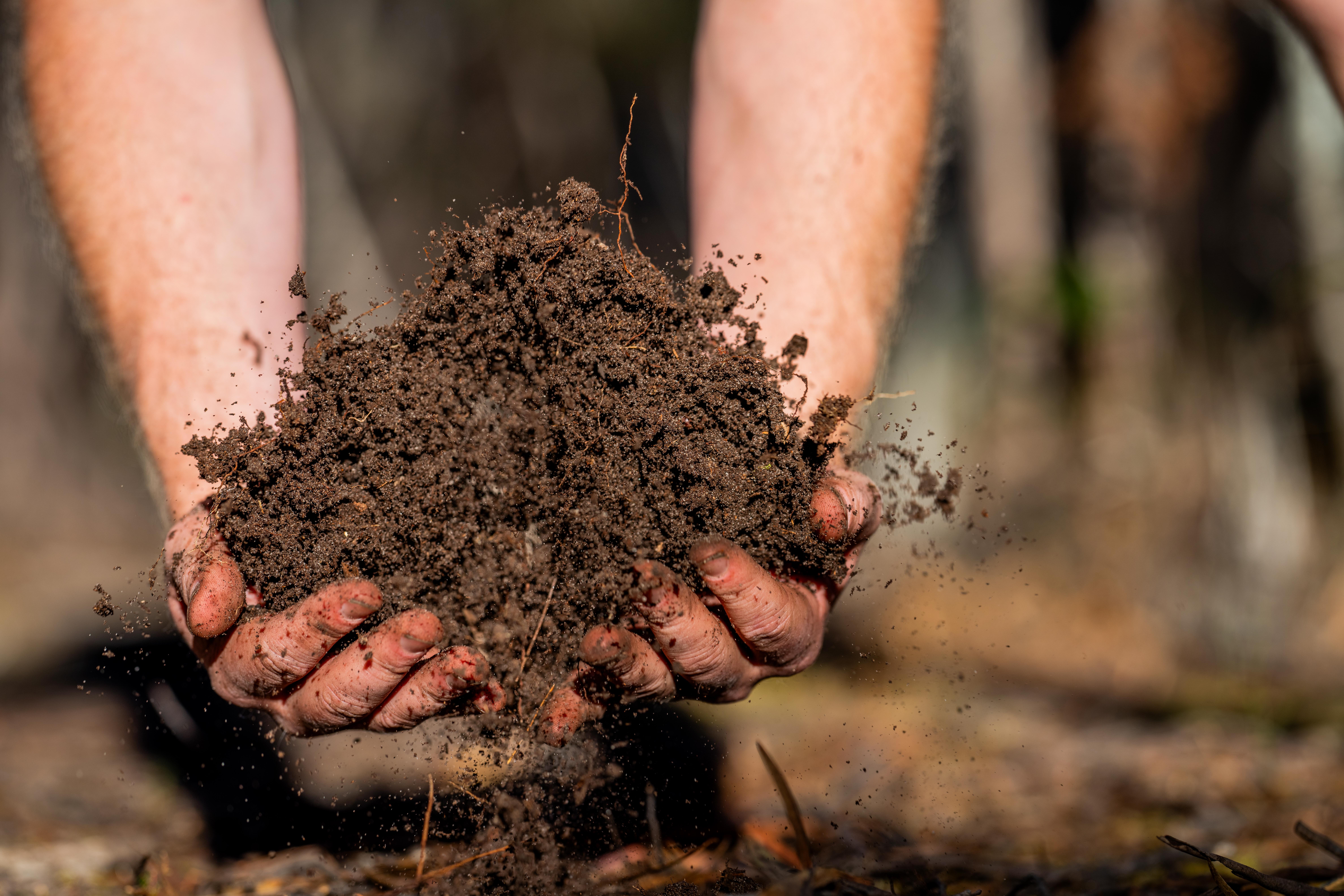 Qualidade do solo e análise conservacionista