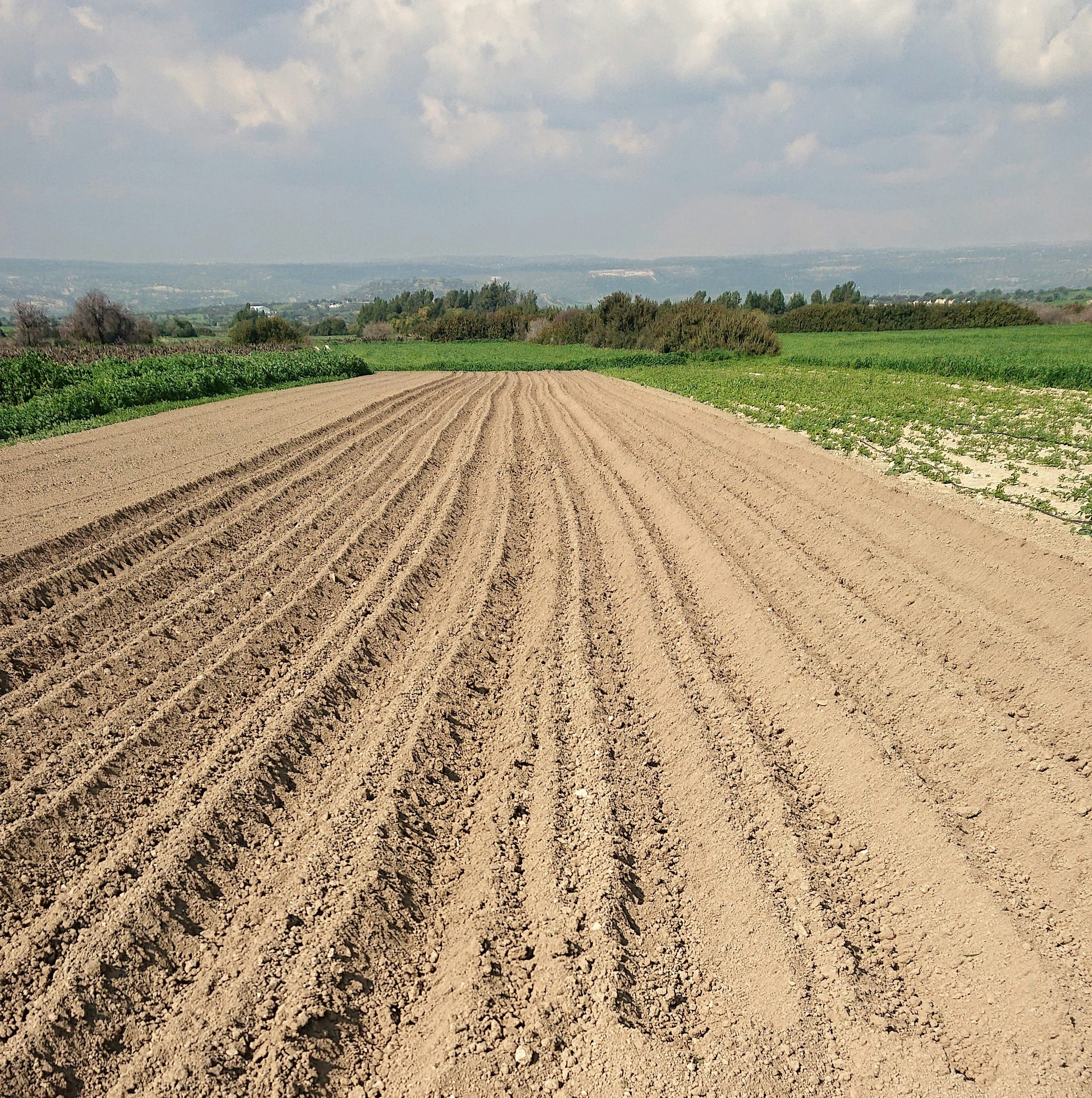 Análise precisa de solo